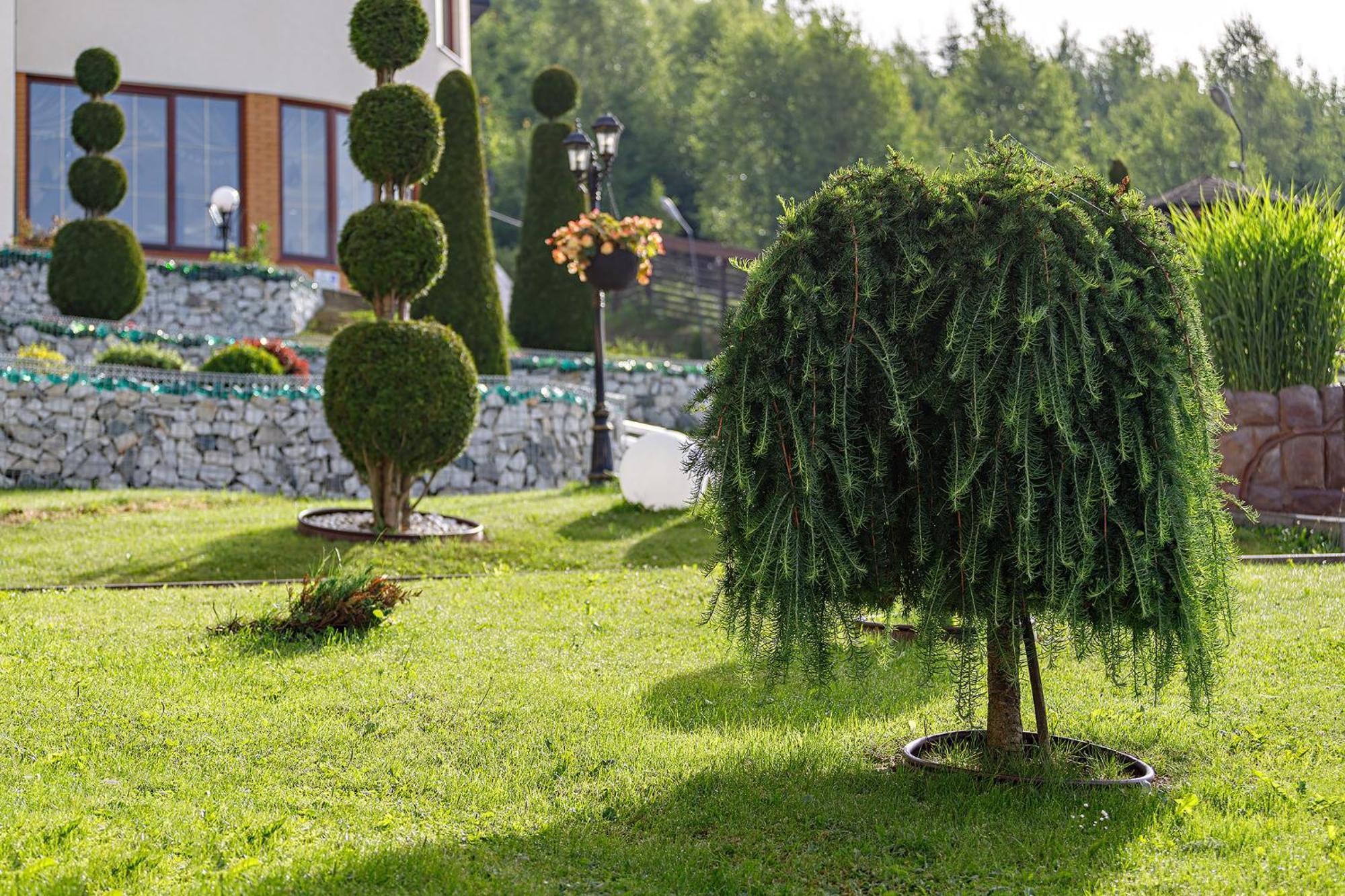 Hotel Podgorie Spa Bukovel Exterior foto